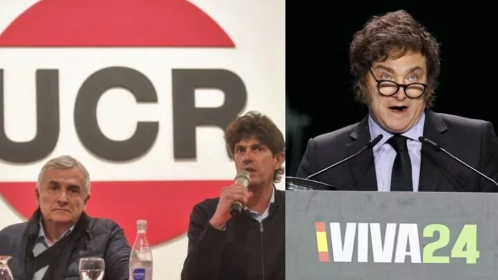 LA UCR APUNTÓ CONTRA MILEI: “ARGENTINA DEBE TENER UNA POLÍTICA EXTERIOR MADURA”