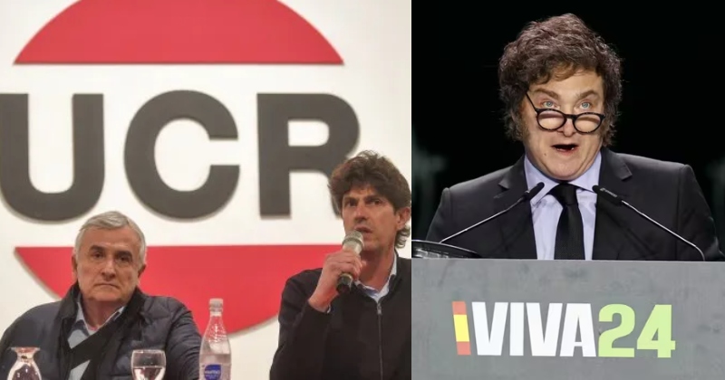 LA UCR APUNTÓ CONTRA MILEI: “ARGENTINA DEBE TENER UNA POLÍTICA EXTERIOR MADURA”