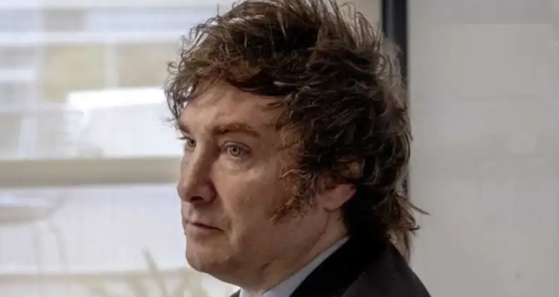 GIL DOMÍNGUEZ SOBRE LAS FACULTADES DELEGADAS PARA MILEI: “PUEDE HACER UNA REFORMA CONSTITUCIONAL ENCUBIERTA”