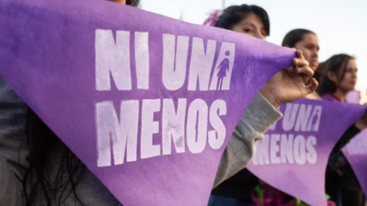 SE PRODUCE UN FEMICIDIO CADA 29 HORAS EN ARGENTINA