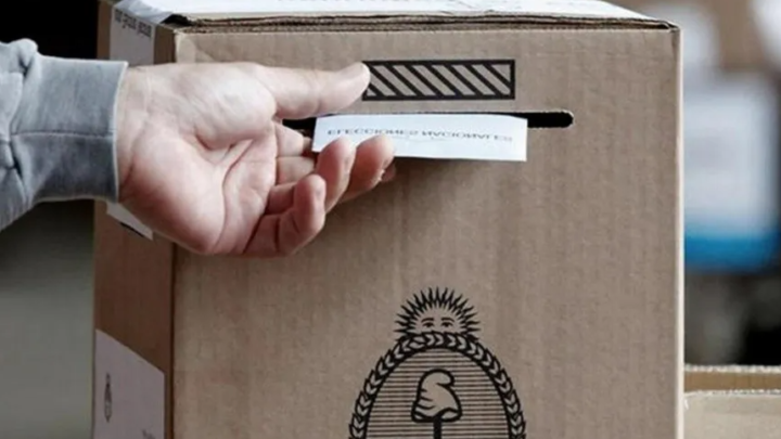 EL GOBIERNO DE MILEI APUNTA A ELIMINAR LAS PASO