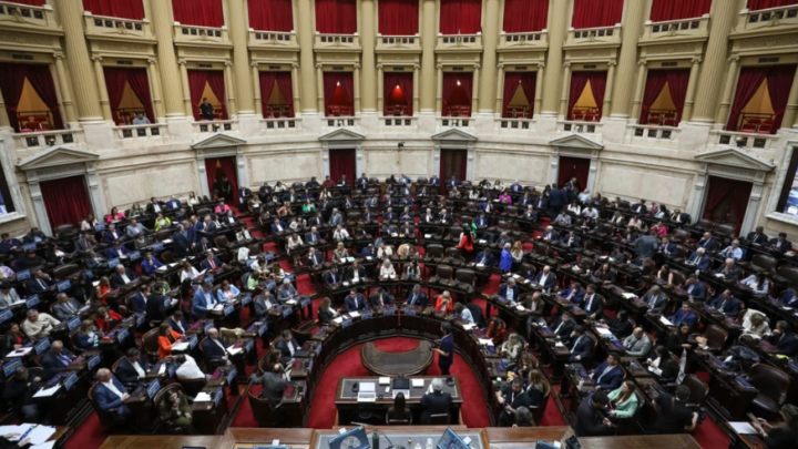 FINANCIAMIENTO UNIVERSITARIO: DIPUTADOS RATIFICÓ EL VETO DE MILEI