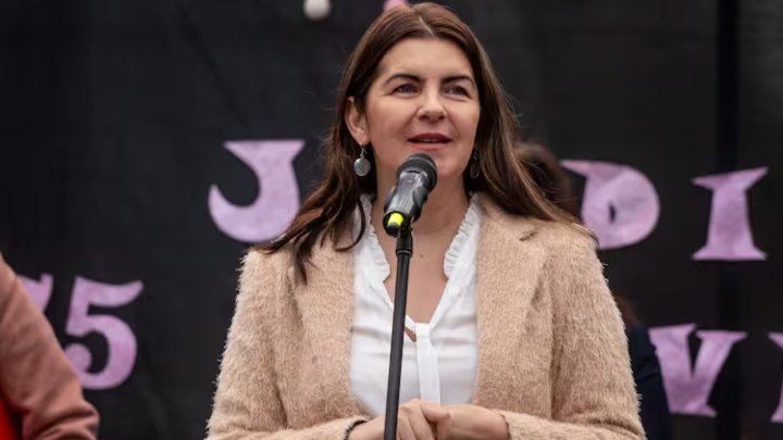 MARIEL FERNÁNDEZ: “MILEI ES UNA PERSONA QUE NO DEBIERA ESTAR EN FUNCIONES”