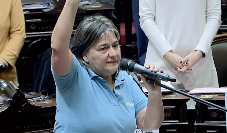 MÓNICA SCHLOTTHAUER: “EL MENOR QUE COMETA UN DELITO DE SANGRE TIENE QUE SER DETENIDO Y TRATADO EN INTERNADOS”