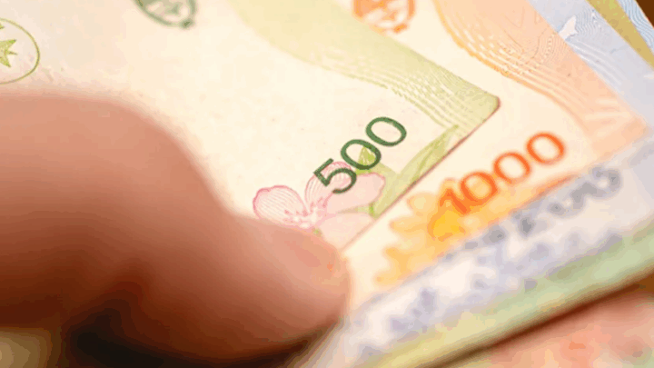 EL GOBIERNO FIJÓ POR DECRETO EL SALARIO MÍNIMO VITAL Y MÓVIL