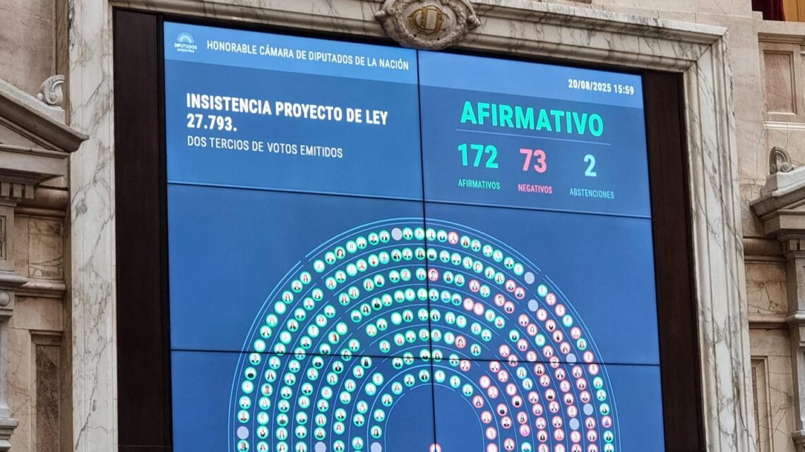 DIPUTADOS APROBÓ EL RECHAZO AL VETO A LA EMERGENCIA EN DISCAPACIDAD Y LA OPOSICIÓN LE DIO UN GOLPE AL GOBIERNO