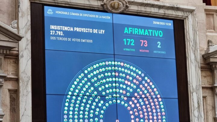 DIPUTADOS APROBÓ EL RECHAZO AL VETO A LA EMERGENCIA EN DISCAPACIDAD Y LA OPOSICIÓN LE DIO UN GOLPE AL GOBIERNO