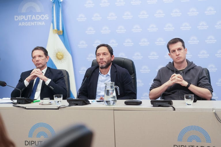 LA COMISIÓN INVESTIGADORA DEL CASO $LIBRA PRESENTARÁ SU INFORME TÉCNICO FINAL ANTE DIPUTADOS