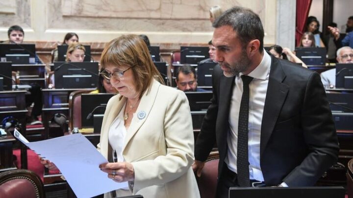 BULLRICH CONFIRMÓ QUE LA “LEY DE EMERGENCIA ÍGNEA” SE TRATARÁ EN SESIONES EXTRAORDINARIAS DEL CONGRESO