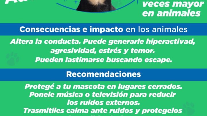 MERLO REFUERZA LA CAMPAÑA “PIROTECNIA CERO” POR EL IMPACTO EN ANIMALES Y PERSONAS VULNERABLES