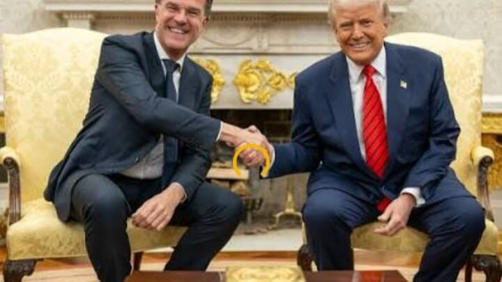 EL JEFE DE LA OTAN RESPALDÓ A TRUMP Y TRABAJA PARA DESCOMPRIMIR EL CONFLICTO POR GROENLANDIA