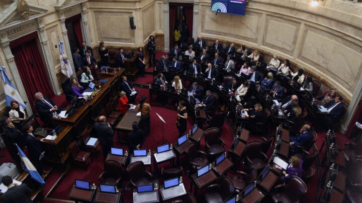 EL OFICIALISMO Y ALIADOS PIDEN SESIONAR EL MIÉRCOLES 11 EN EL SENADO PARA DEBATIR LA REFORMA LABORAL
