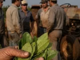 EL AJUSTE Y LA FRAGILIDAD PRODUCTIVA