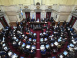 CUENTA REGRESIVA PARA LA LEY DE TIERRAS: EL OFICIALISMO LLEGA AL SENADO CON DUDAS Y SIN LOS VOTOS ASEGURADOS