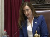 EXPLOTÓ LA INTERNA DEL GOBIERNO: VILLARRUEL Y BULLRICH SE CRUZARON POR LA LEY DE TIERRAS Y SE ACUSARON DE “RIFAR EL PAÍS”