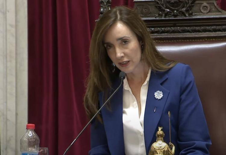 EXPLOTÓ LA INTERNA DEL GOBIERNO: VILLARRUEL Y BULLRICH SE CRUZARON POR LA LEY DE TIERRAS Y SE ACUSARON DE “RIFAR EL PAÍS”