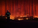 INCENDIOS FORESTALES EN FRANCIA: 20 MIL PERSONAS EVACUADAS Y MÁS DE 3.100 HECTÁREAS DESTRUIDAS