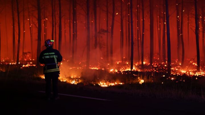INCENDIOS FORESTALES EN FRANCIA: 20 MIL PERSONAS EVACUADAS Y MÁS DE 3.100 HECTÁREAS DESTRUIDAS