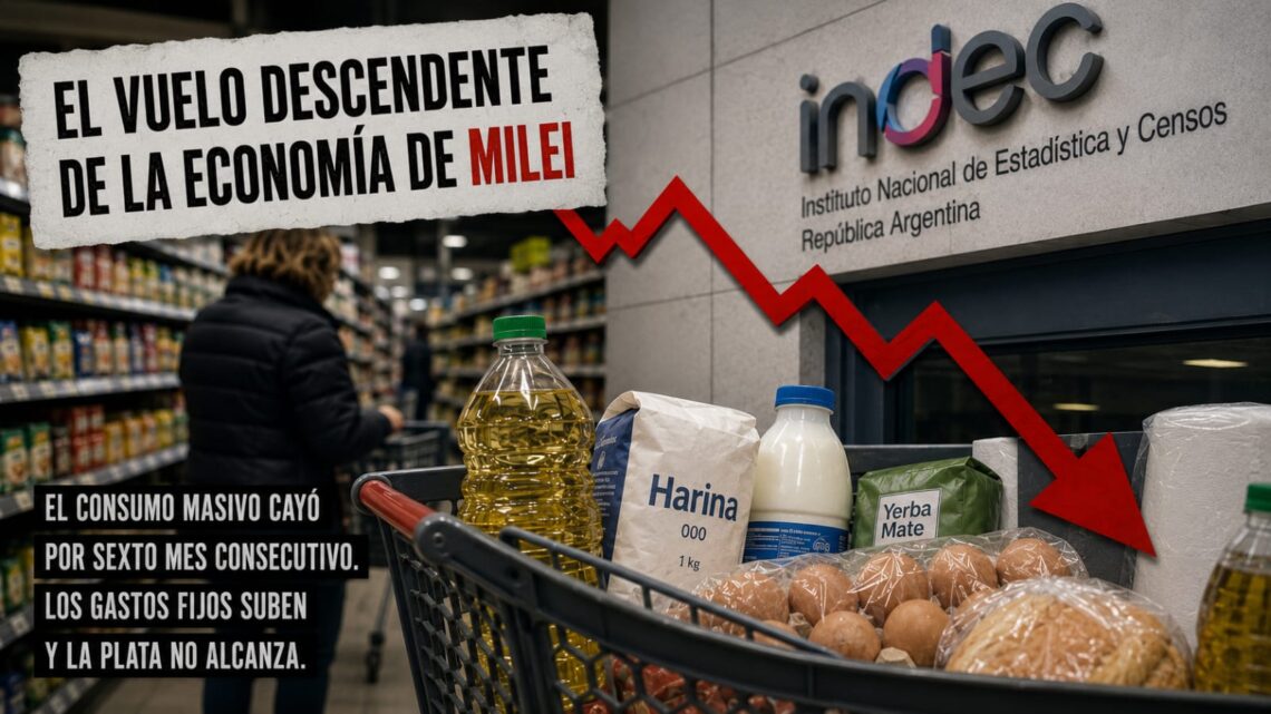 EL VUELO DESCENDENTE DE LA ECONOMÍA DE MILEI