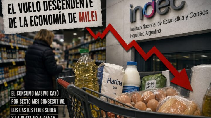 EL VUELO DESCENDENTE DE LA ECONOMÍA DE MILEI