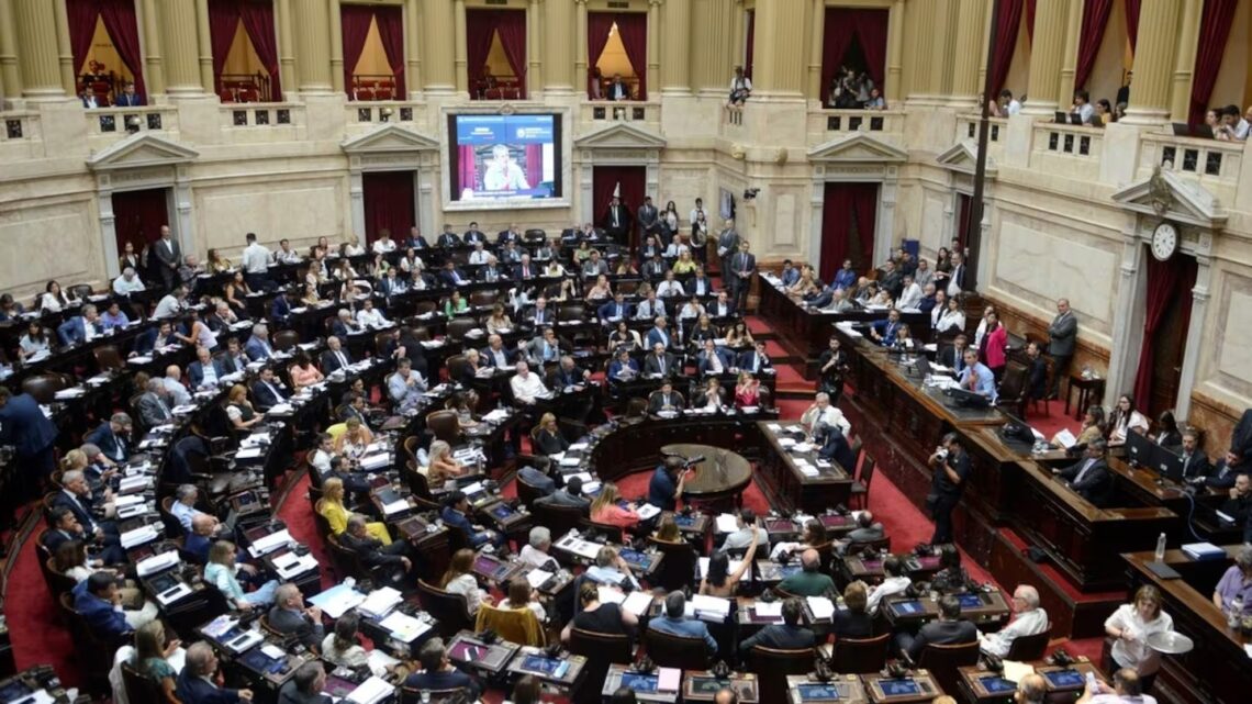 DIPUTADOS: EL OFICIALISMO SUMÓ LA LEY JOAQUÍN PARA GARANTIZAR EL QUÓRUM Y AVANZAR CON LA REFORMA DEL BCRA