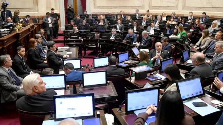 EL SENADO APROBÓ LA LEY DE INVIOLABILIDAD DE LA PROPIEDAD PRIVADA, PERO EL GOBIERNO DEBIÓ RETIRAR LOS CAMBIOS A LAS LEYES DE TIERRAS Y DE MANEJO DEL FUEGO