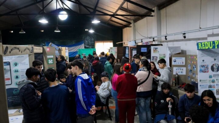 Se presentaron los proyectos del concurso I²+D