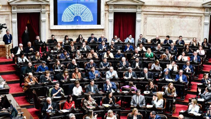 DIPUTADOS: LA OPOSICIÓN FORZÓ AL OFICIALISMO A FIJAR FECHAS PARA DEBATIR LA MOROSIDAD Y LA EMERGENCIA EN DISCAPACIDAD