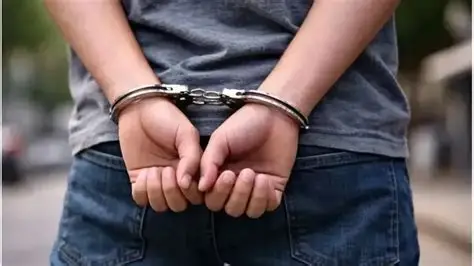 LA JUSTICIA BONAERENSE REVOCÓ LA SUSPENSIÓN DEL NUEVO RÉGIMEN PENAL JUVENIL Y LA LEY VUELVE A APLICARSE
