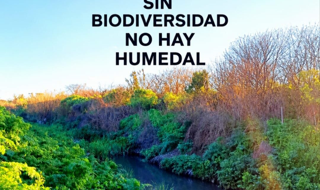 ALERTA POR EL ARROYO SOTO Y EL FUTURO DEL INTA AMBA: “NO SE PUEDE CUIDAR LO QUE NO SE CONOCE”