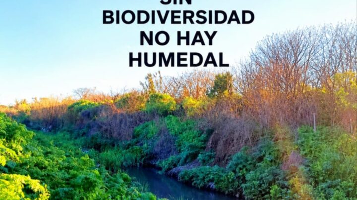 ALERTA POR EL ARROYO SOTO Y EL FUTURO DEL INTA AMBA: “NO SE PUEDE CUIDAR LO QUE NO SE CONOCE”