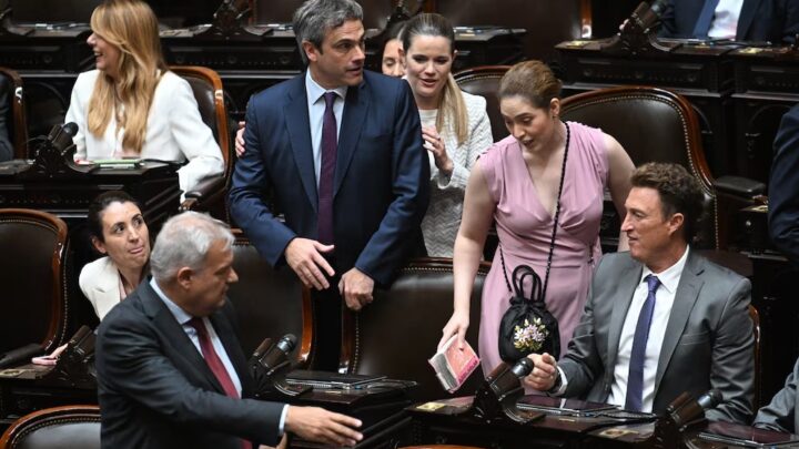 DIPUTADOS DE UNIÓN POR LA PATRIA CUESTIONARON ANTE EL FMI EL PRESUPUESTO 2027 Y SEÑALARON TRES PUNTOS CRÍTICOS