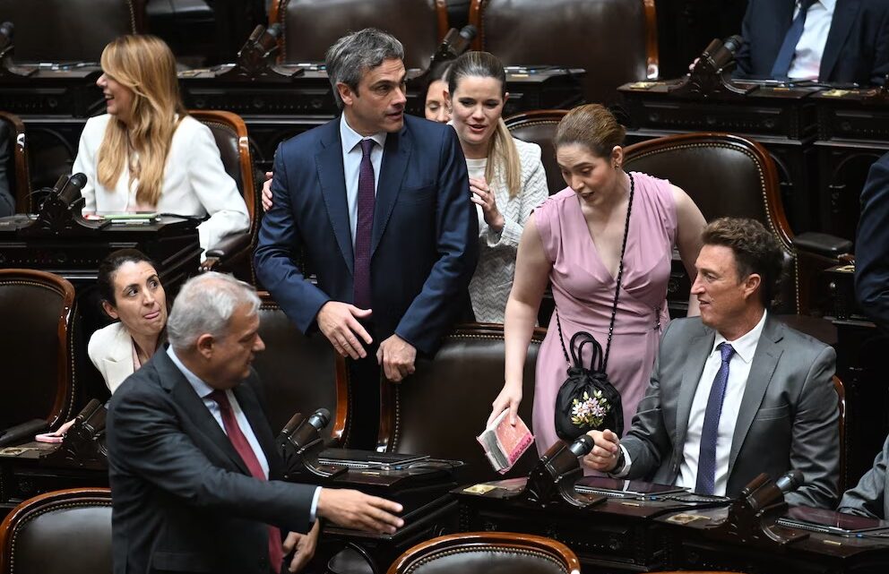 DIPUTADOS DE UNIÓN POR LA PATRIA CUESTIONARON ANTE EL FMI EL PRESUPUESTO 2027 Y SEÑALARON TRES PUNTOS CRÍTICOS