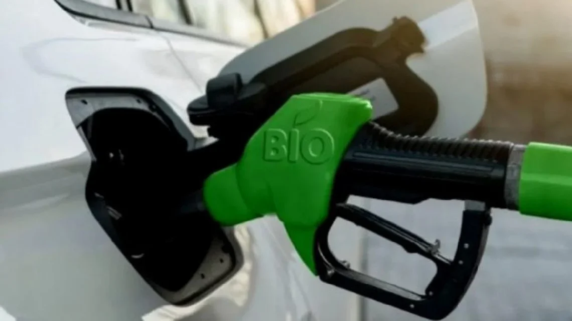 EL SENADO DIO MEDIA SANCIÓN A LA REFORMA DE LA LEY DE BIOCOMBUSTIBLES: SUBEN LOS CORTES Y CAMBIA EL ESQUEMA DEL MERCADO