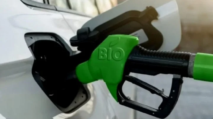 EL SENADO DIO MEDIA SANCIÓN A LA REFORMA DE LA LEY DE BIOCOMBUSTIBLES: SUBEN LOS CORTES Y CAMBIA EL ESQUEMA DEL MERCADO