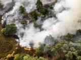 LA CONCENTRACIÓN DE GASES DE EFECTO INVERNADERO VOLVIÓ A BATIR RÉCORDS Y LA ONU ALERTÓ POR EL CALENTAMIENTO GLOBA