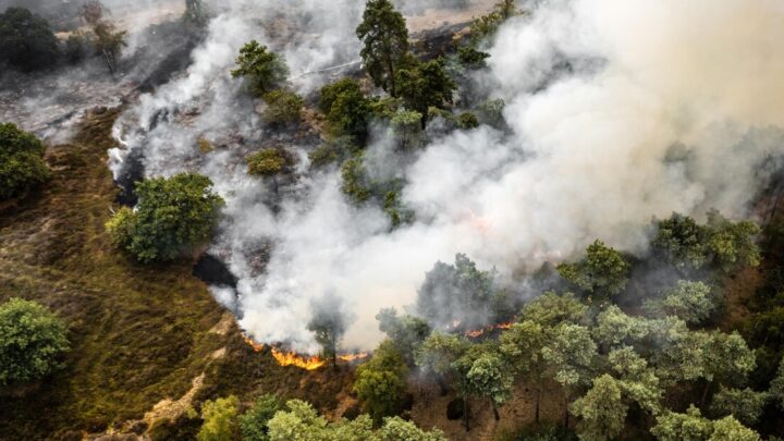 LA CONCENTRACIÓN DE GASES DE EFECTO INVERNADERO VOLVIÓ A BATIR RÉCORDS Y LA ONU ALERTÓ POR EL CALENTAMIENTO GLOBA