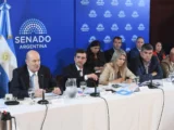 EL OFICIALISMO BUSCA AVANZAR EN EL SENADO CON EL PROYECTO QUE RESTABLECE LOS LÍMITES A LA VENTA DE TIERRAS RURALES